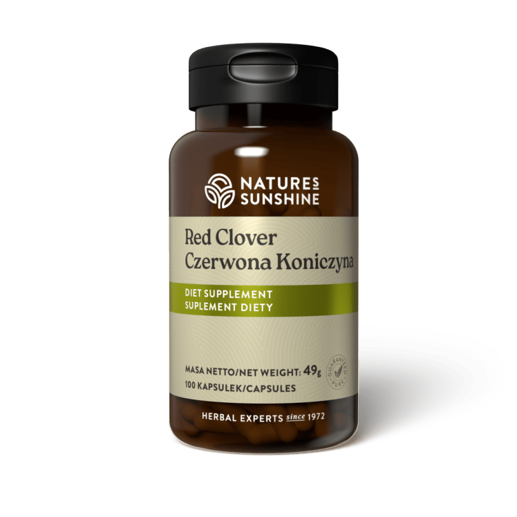 Червена детелина